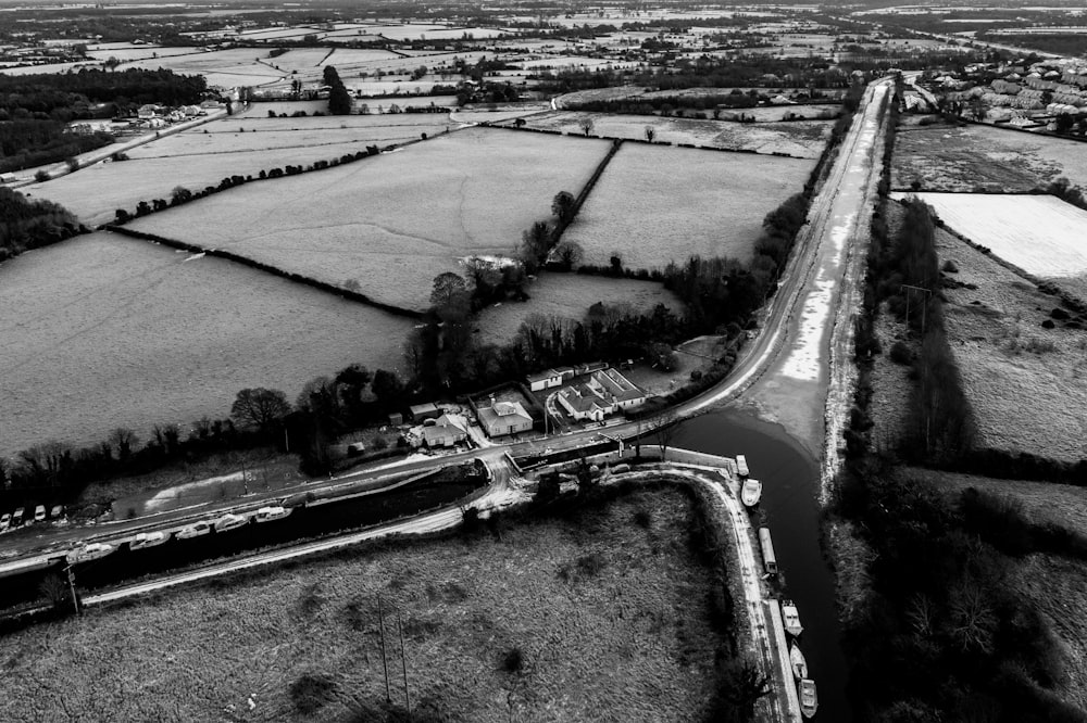 grayscale photo of road in the middle of trees