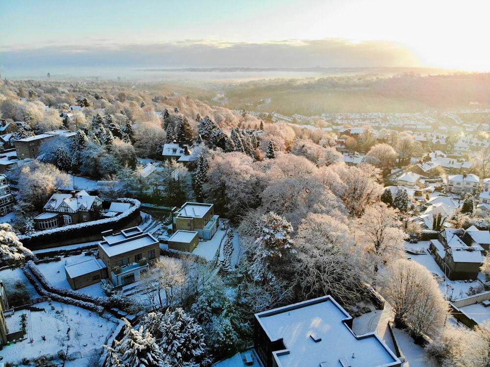 aerial view of houses and trees during daytime