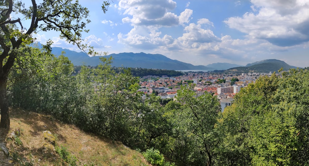 green trees and brown and white buildings under white clouds and blue sky during daytime