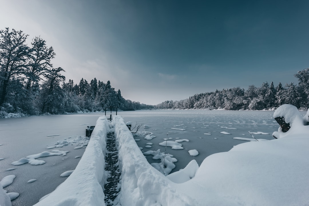 snow covered field and trees during daytime