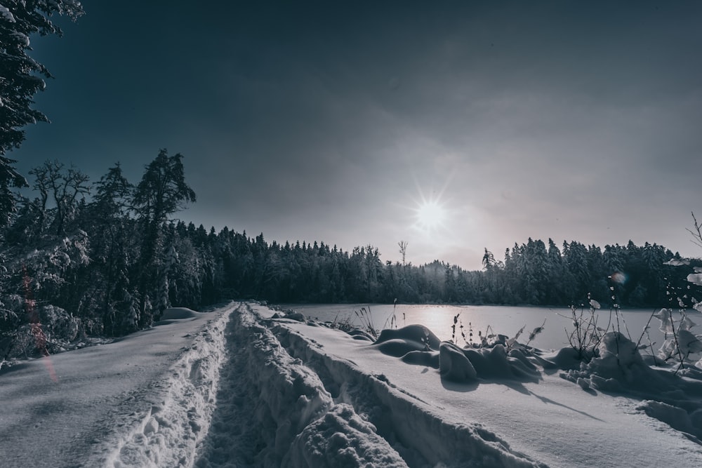 snow covered field and trees under white clouds