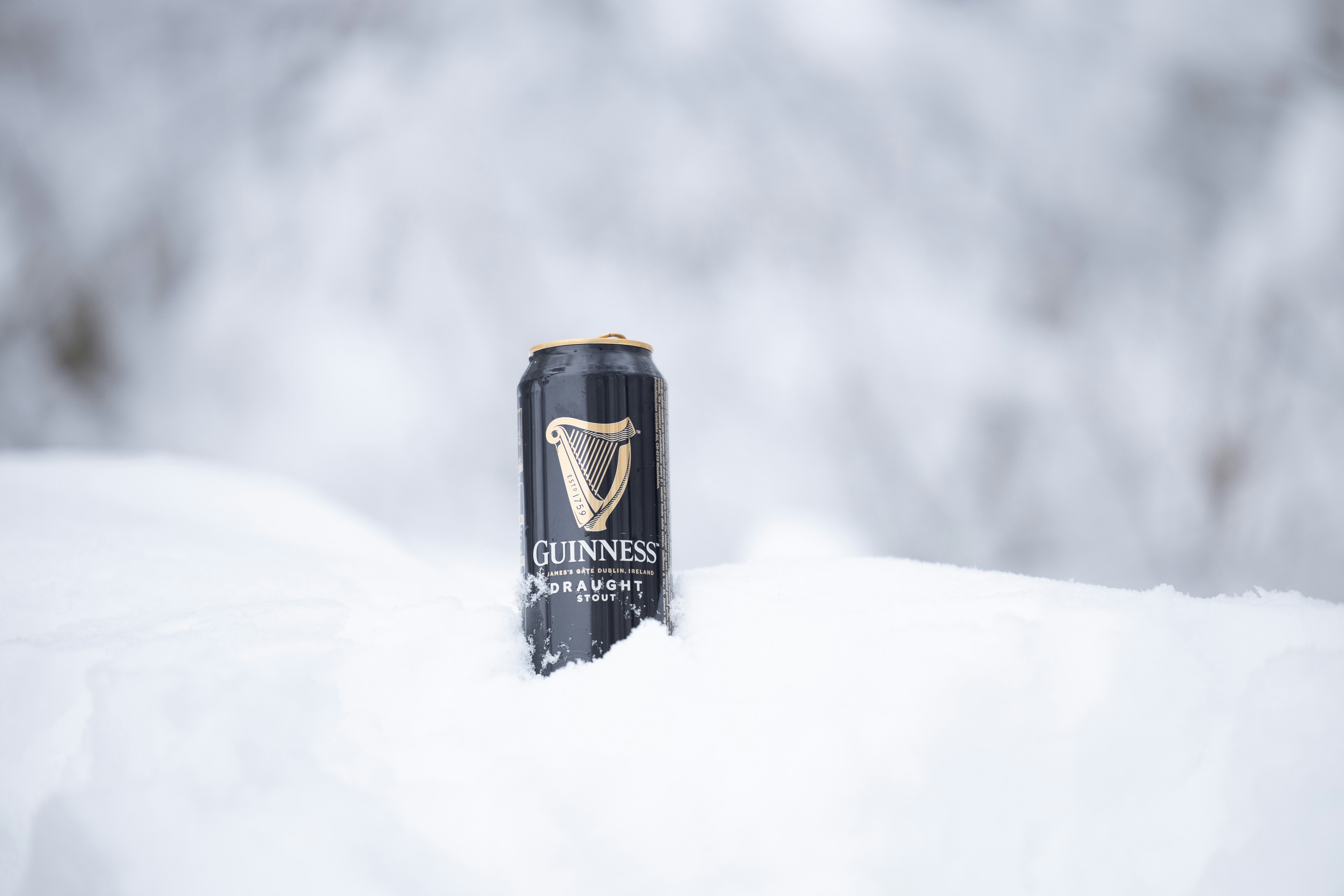 black and gold can on snow, Beer can in the snow