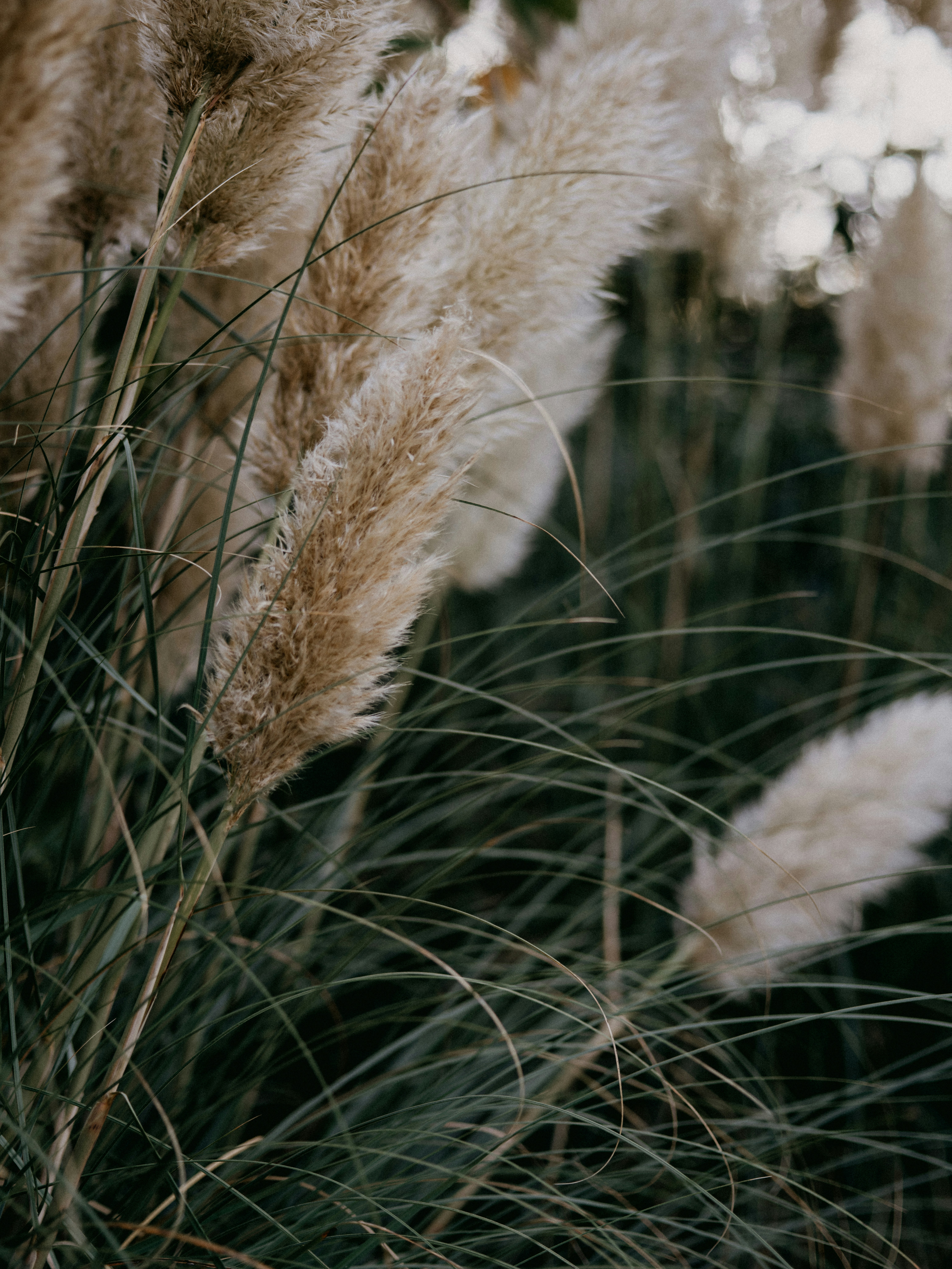 Photo by anniespratt