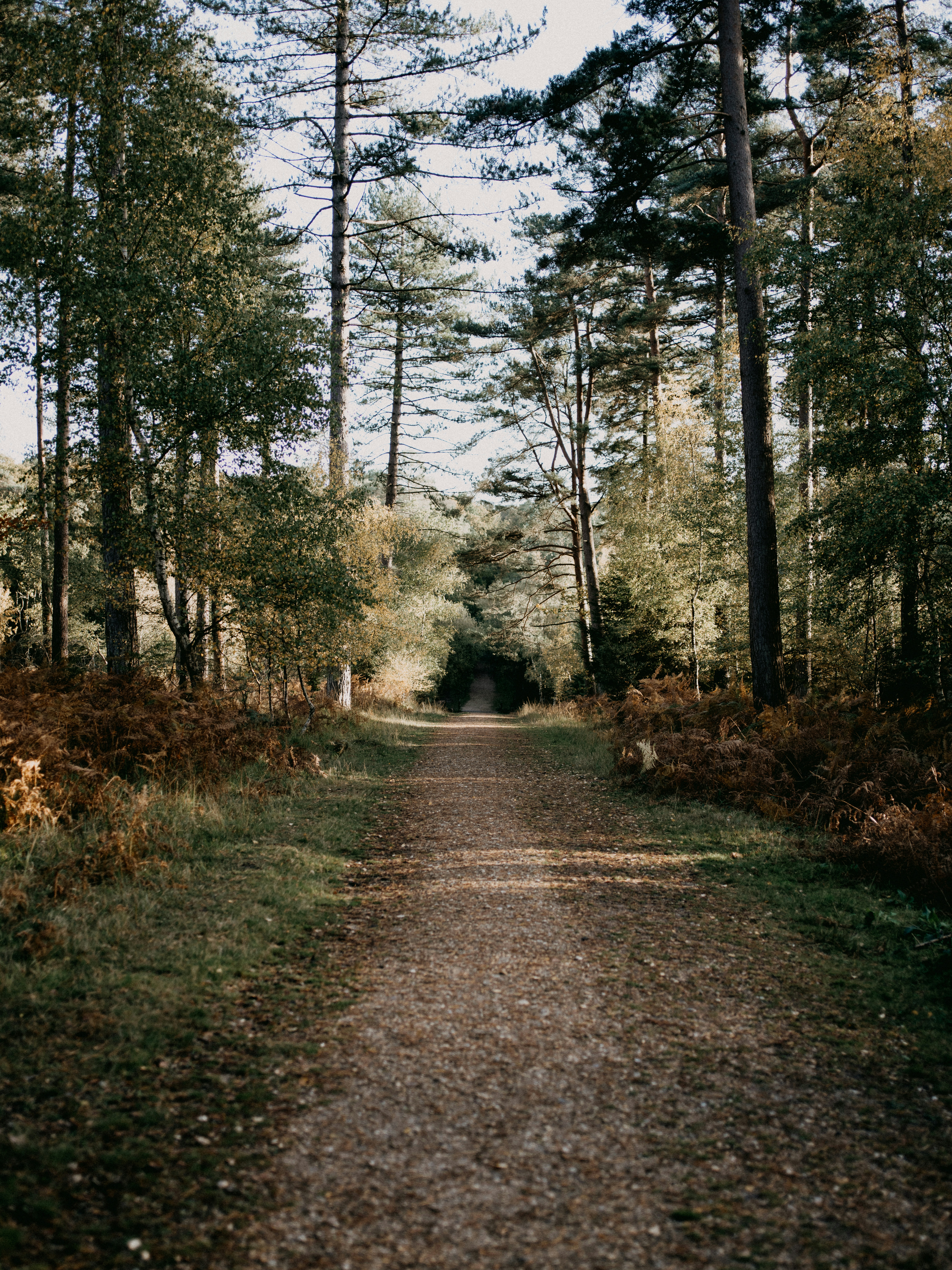 Photo by anniespratt