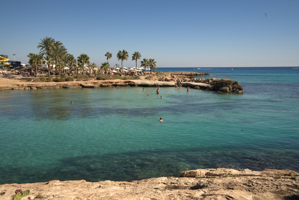 people swimming on beach during daytime