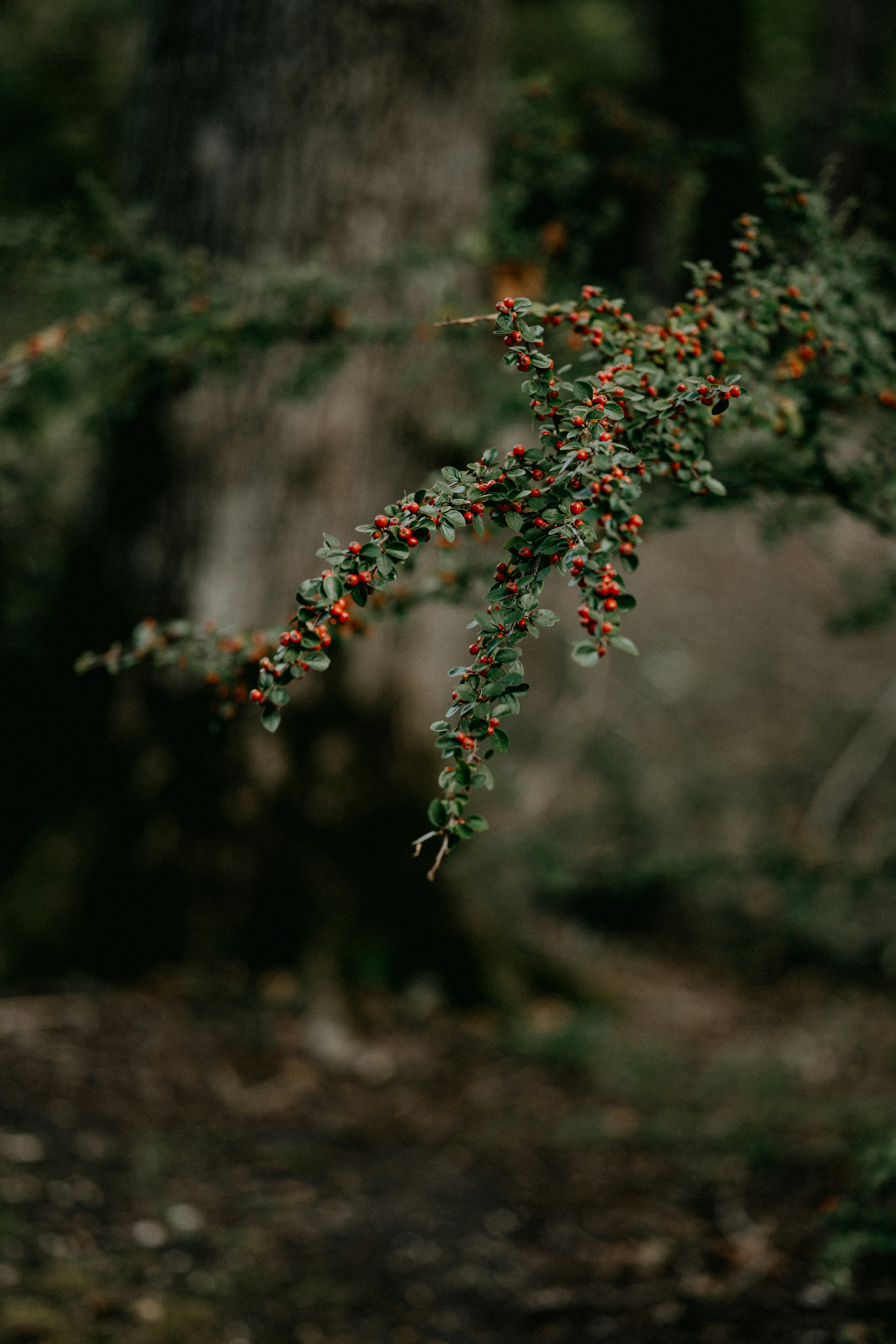 Photo by anniespratt