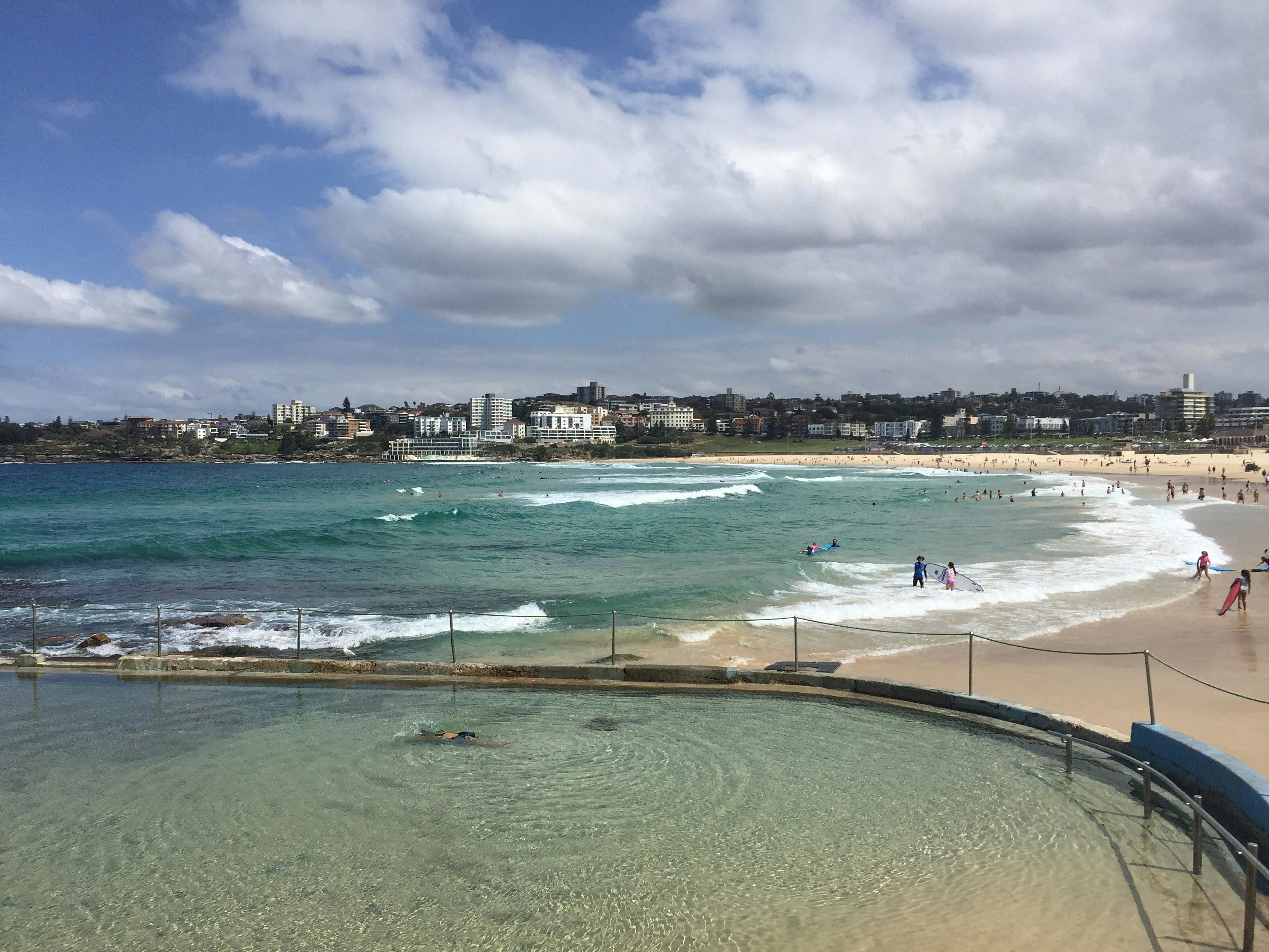 people on beach during daytime