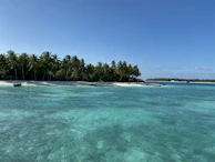 Crystal-clear turquoise waters gently lapping against the white sandy shores of Palawan.