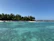 Children excitedly exploring a tropical beach with turquoise waters under bright blue skies.
