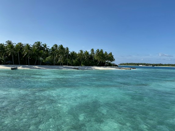 Clear turquoise waters gently lap against a sandy beach lined with lush green palm trees. The sky is a bright, cloudless blue, enhancing the tropical paradise feel.