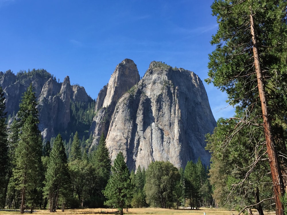 árvores verdes perto da montanha cinza sob o céu azul durante o dia