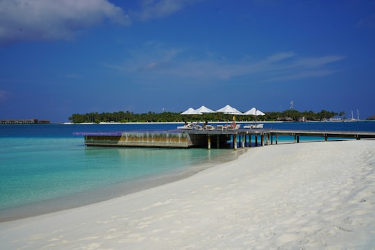 white and brown wooden house on sea shore during daytime in Alif Alif Atoll Maldives