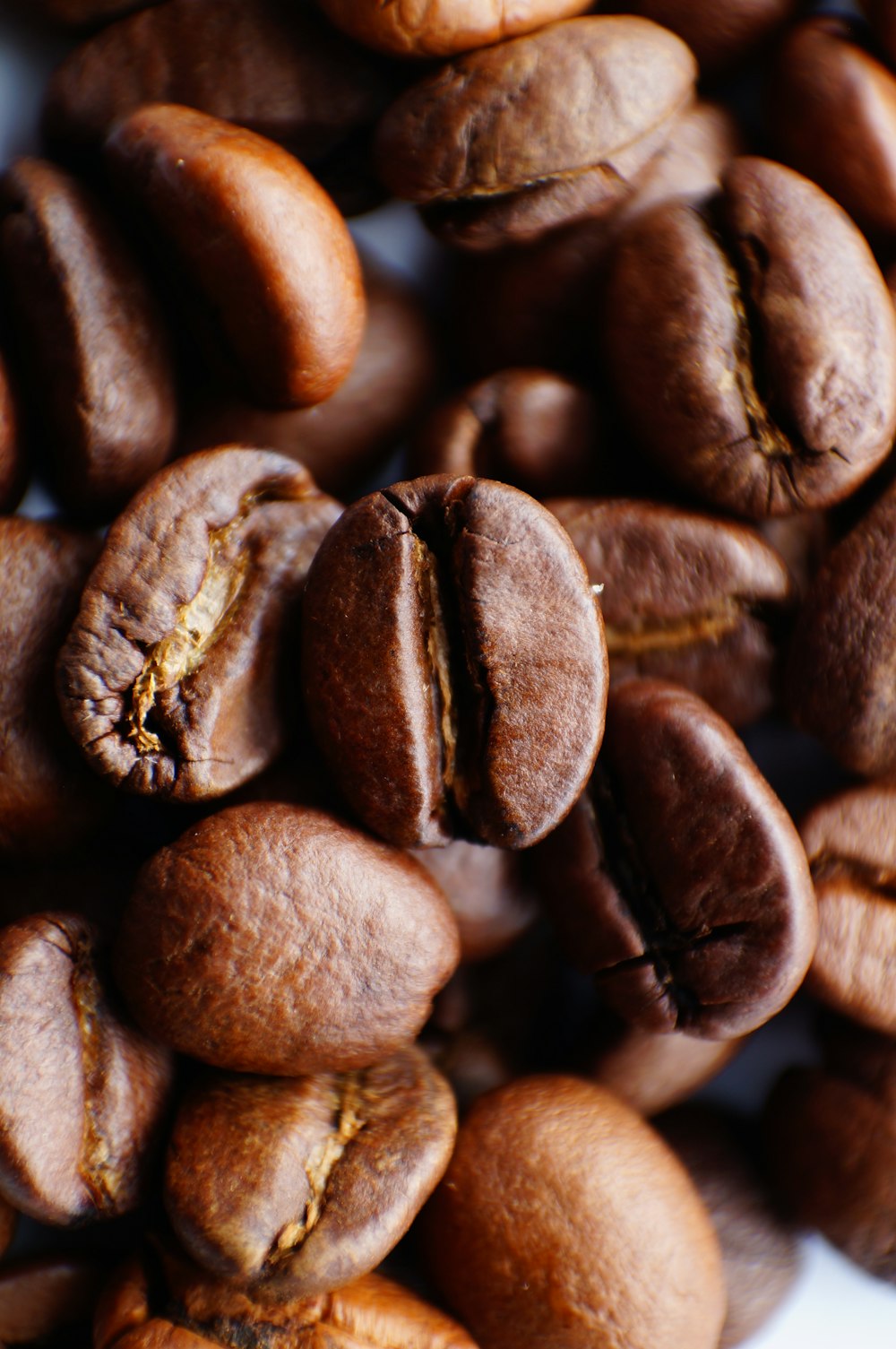 brown coffee beans in close up photography