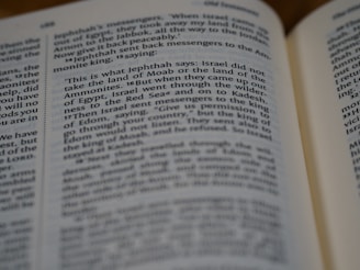 A close-up of an open book displaying a passage. The text is in medium-sized font, and the pages appear well-lit. The focus is on specific lines while the surrounding text is slightly blurred, emphasizing the main content.
