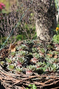 Earthy Basket