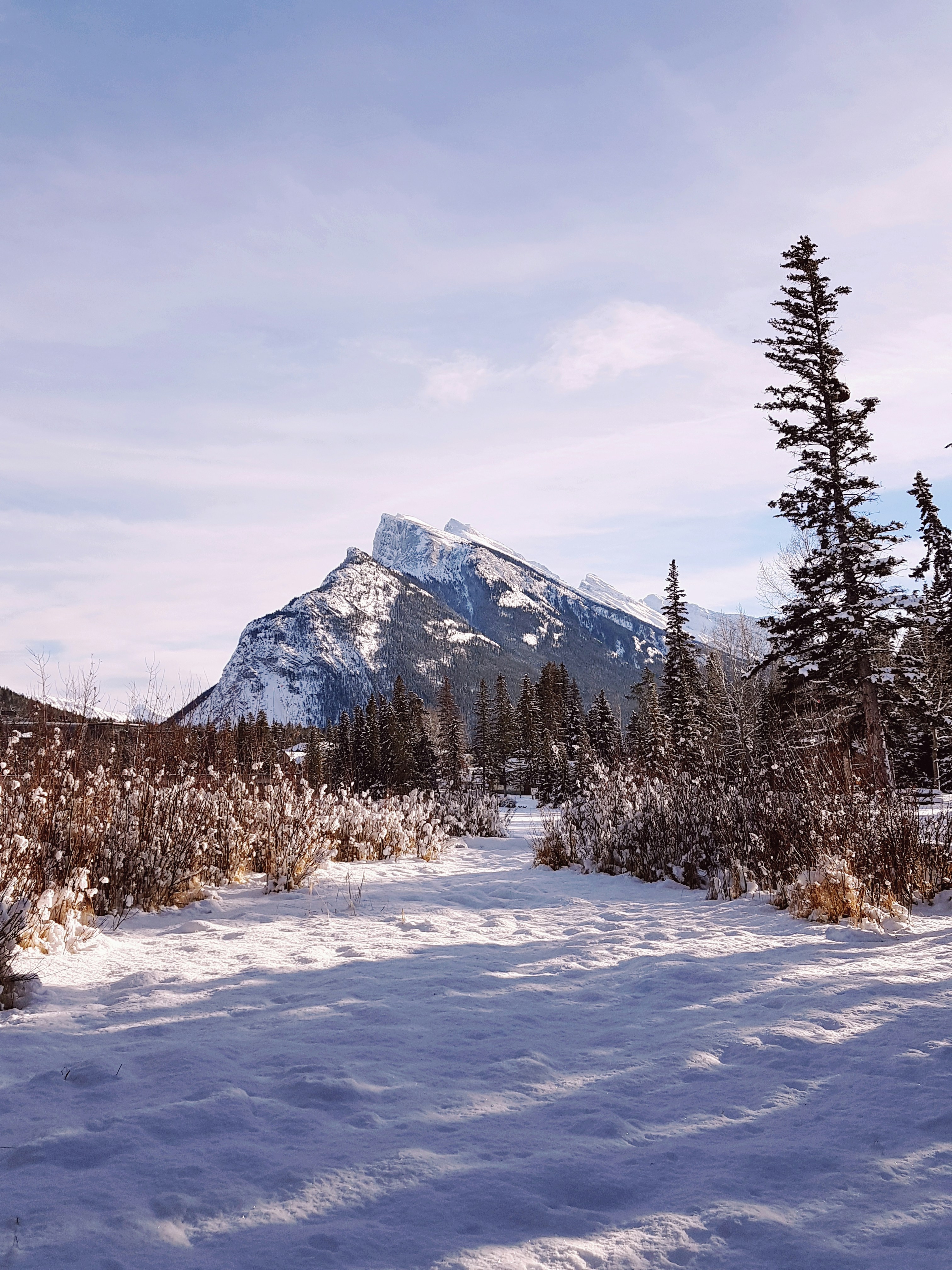 Photo by yongwookseong