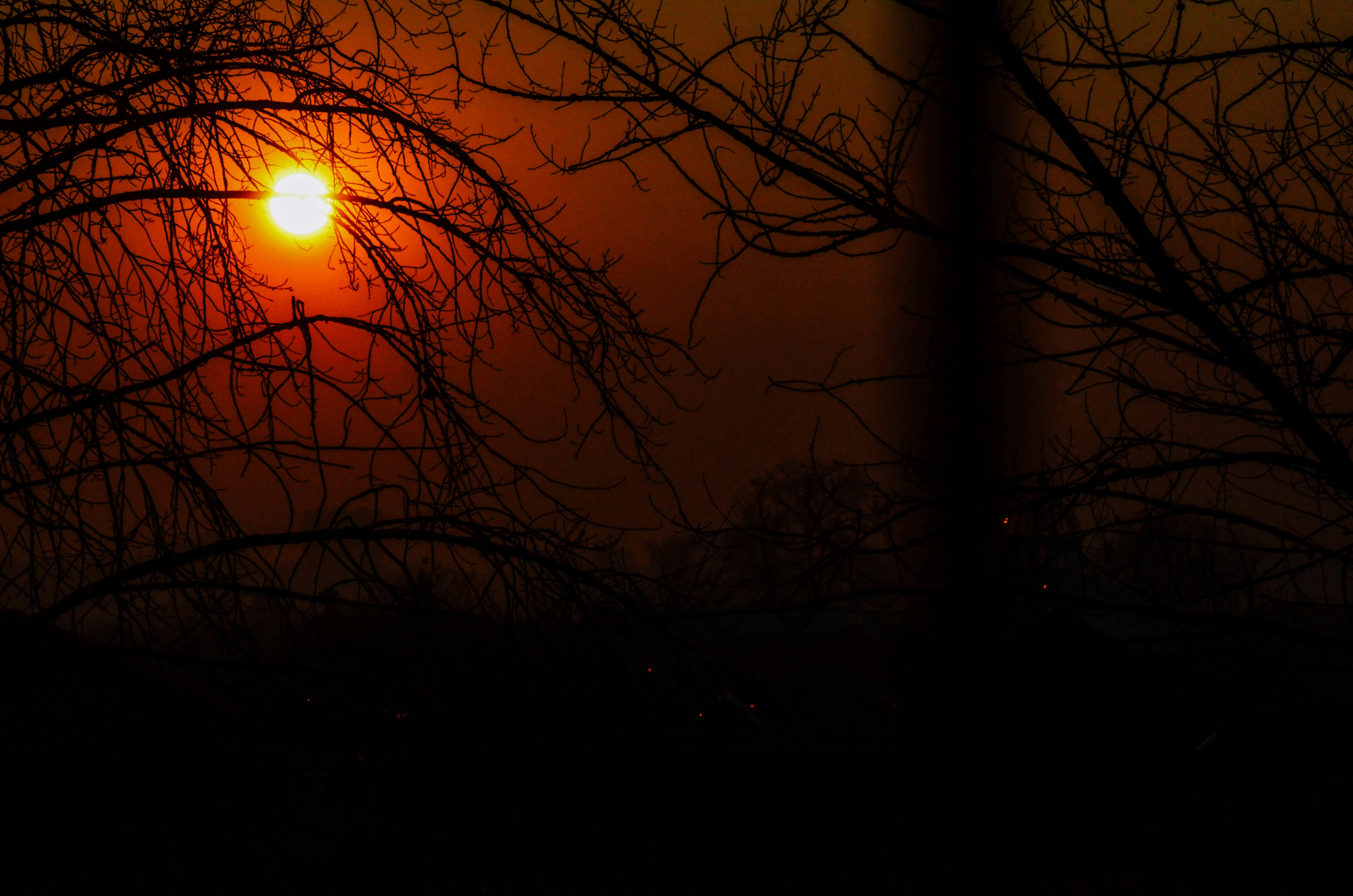 Photo by nika_benedictova