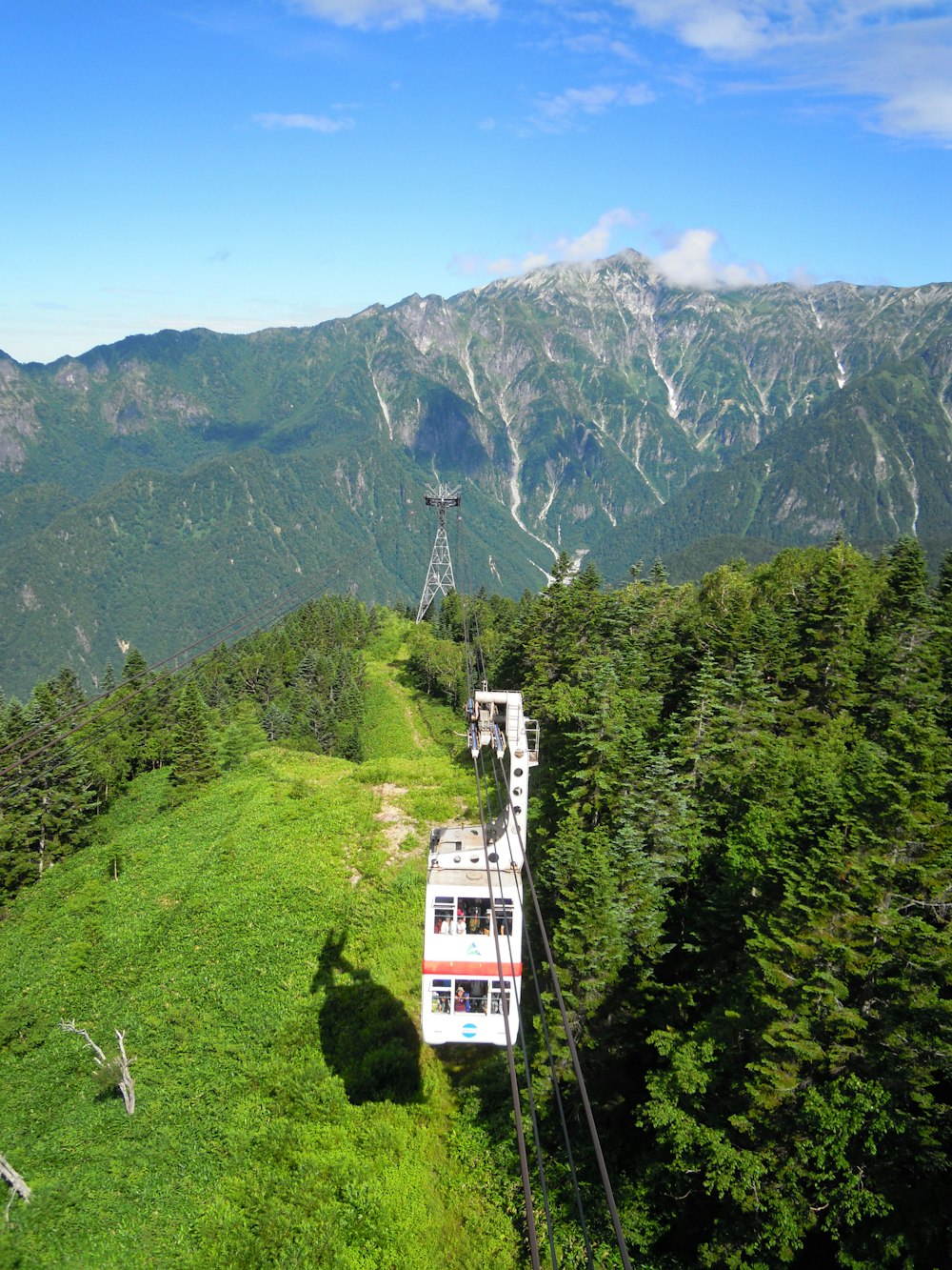 white and red cable car over green trees and mountain during daytime