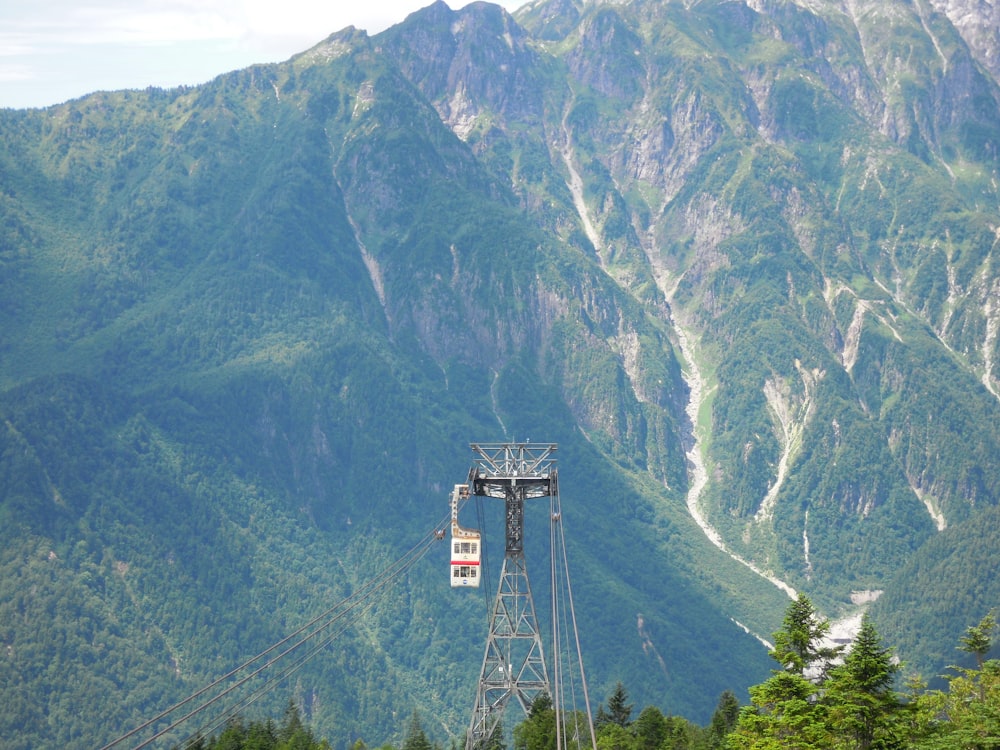 black cable car over green trees and mountain during daytime