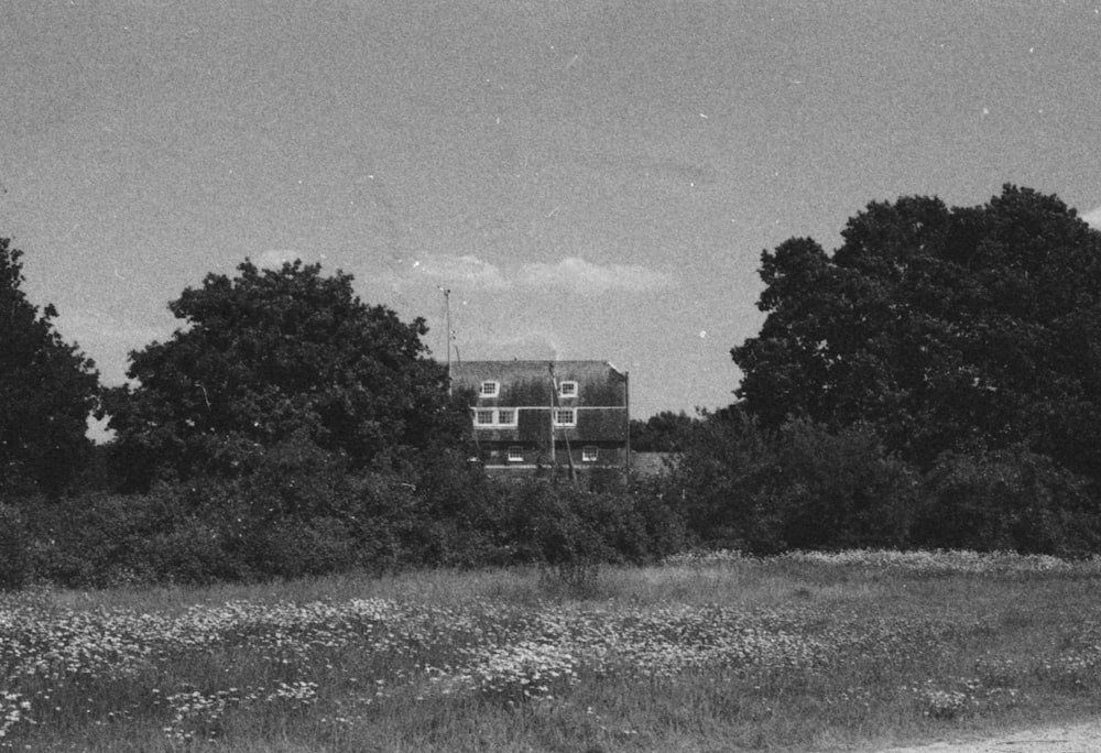 grayscale photo of house surrounded by trees