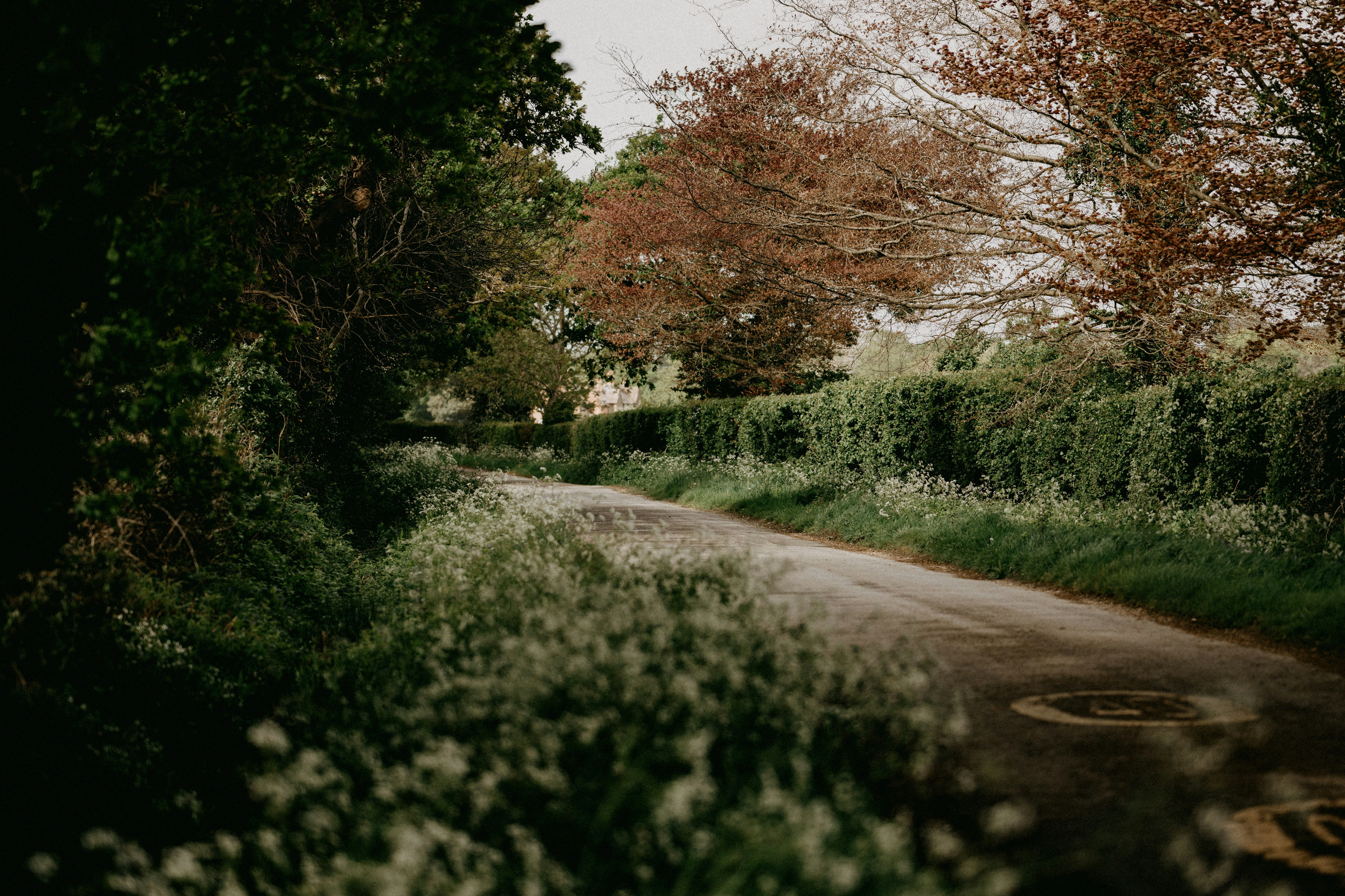 Photo by anniespratt