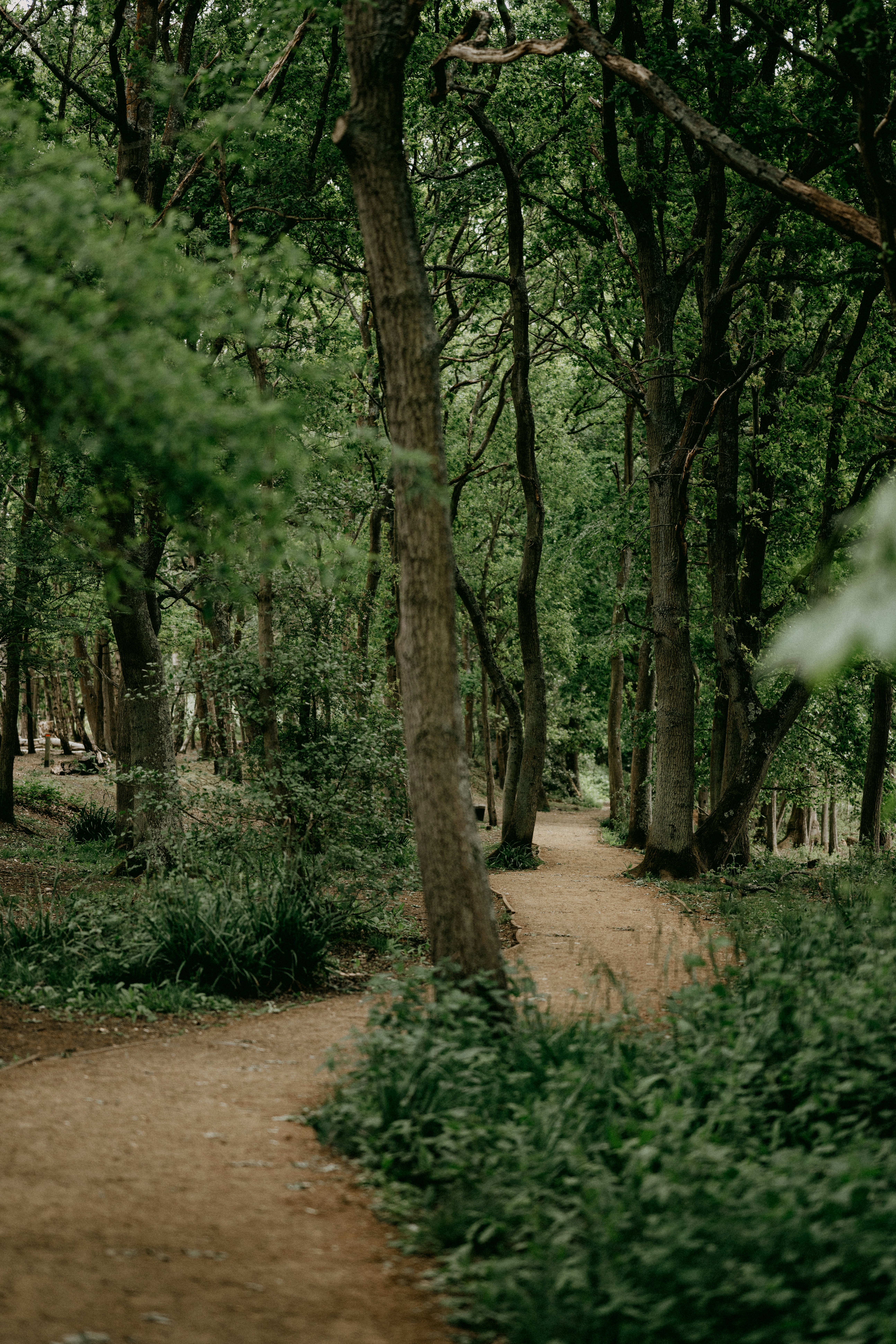 Photo by anniespratt