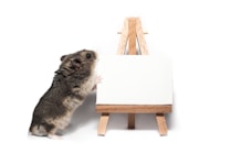A small hamster is standing on its hind legs, interacting with a miniature wooden easel that holds a blank canvas. The background is plain white, making the hamster and easel the focus of the composition.