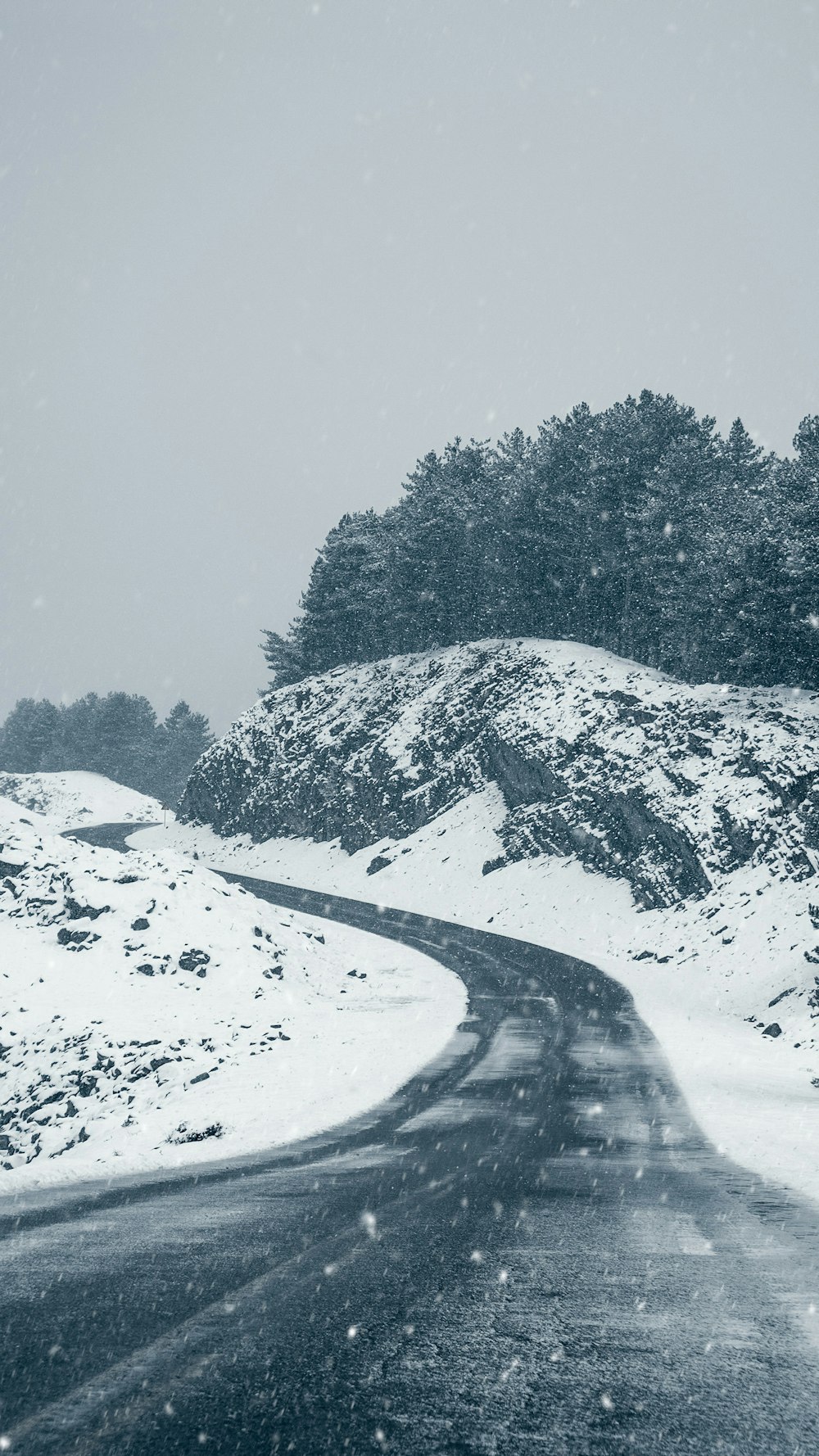 snow covered mountain and trees