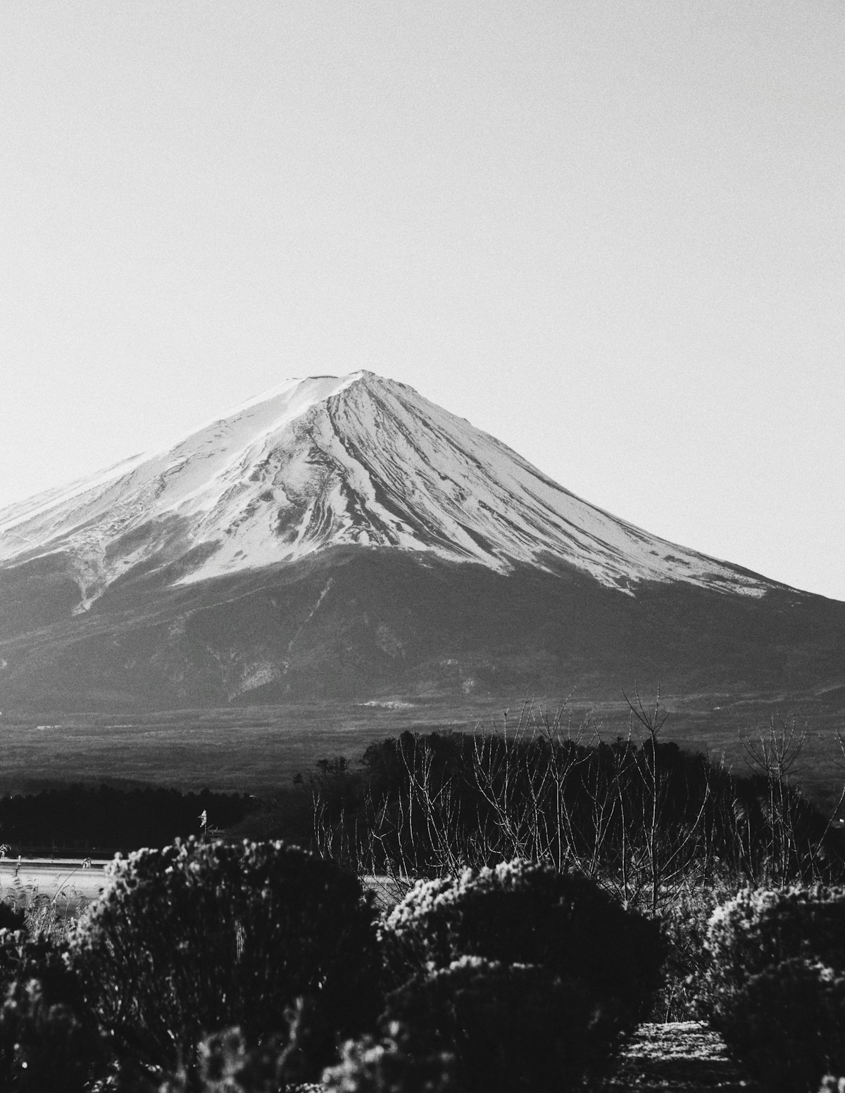 Solo Japan 7-Day Adventure: Tokyo, Kyoto & Osaka