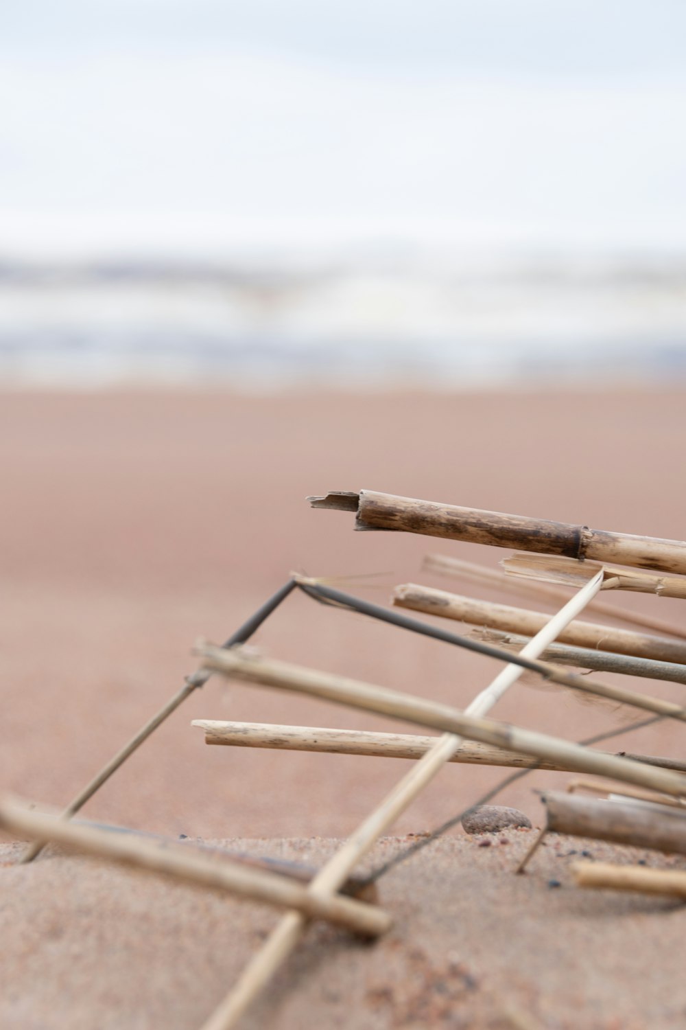 brown wooden sticks on brown sand near sea during daytime