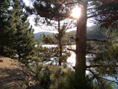 Sunlight filtering through pine branches onto a peaceful lakeside path at Sylvaluxe.