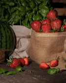 Behind-the-scenes photo shoot capturing fresh local produce and rustic textures.