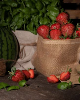 Behind-the-scenes of a photoshoot with fresh local produce and rustic props.
