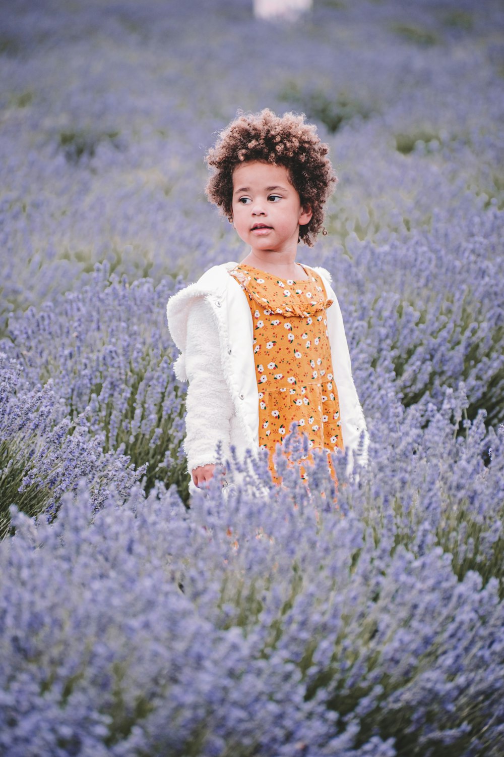 menina na camisa branca da manga comprida que está de pé no campo de flores roxo durante o dia