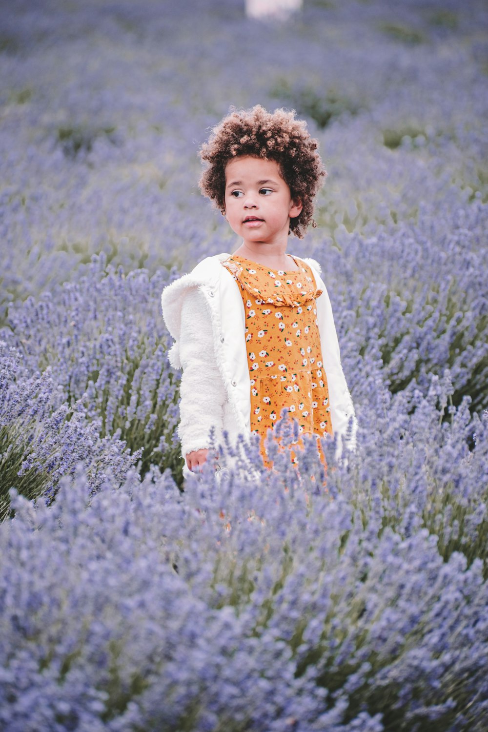 girl in white long sleeve shirt standing on purple flower field during daytime