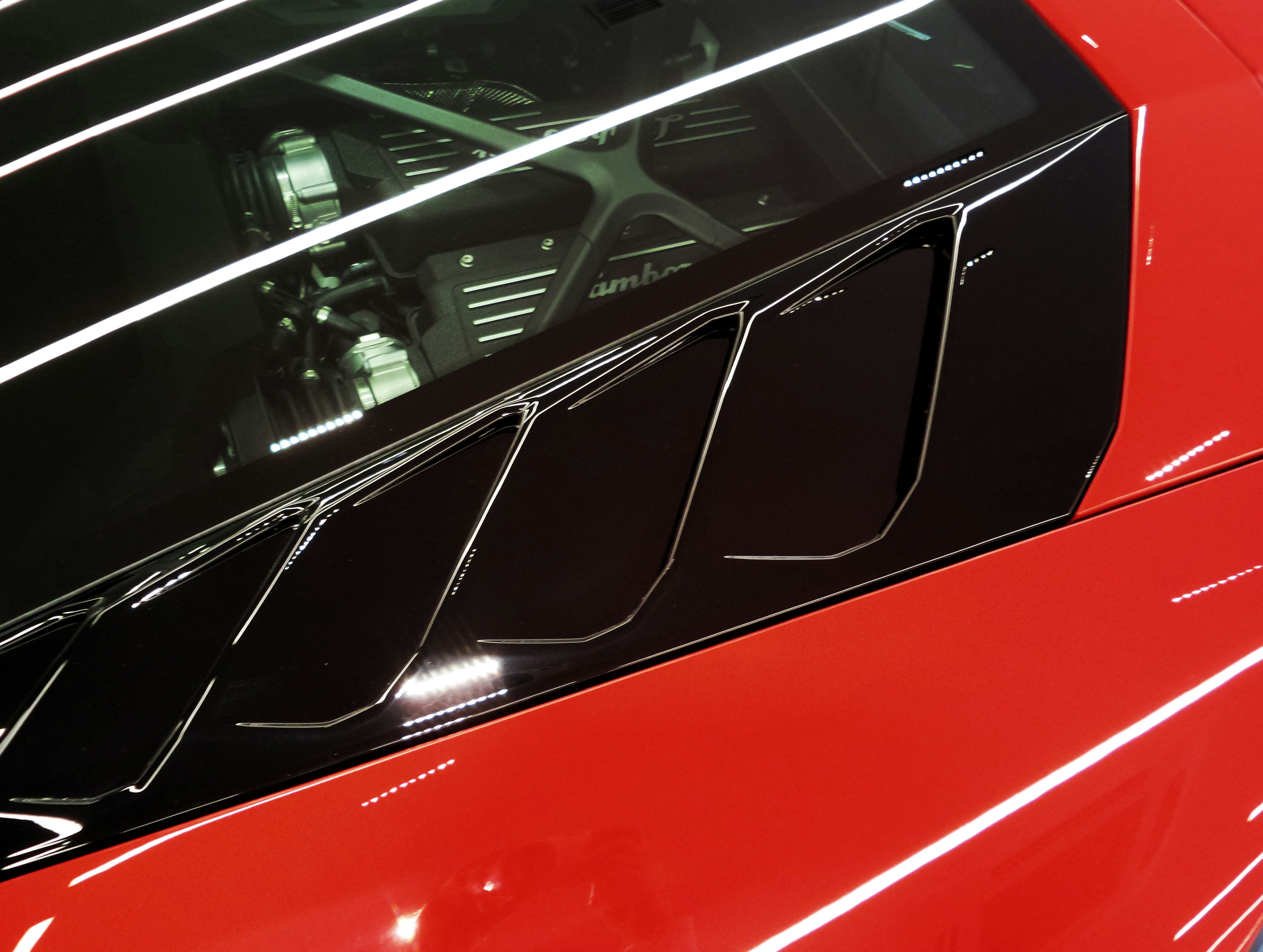 Photo by possessedphotography