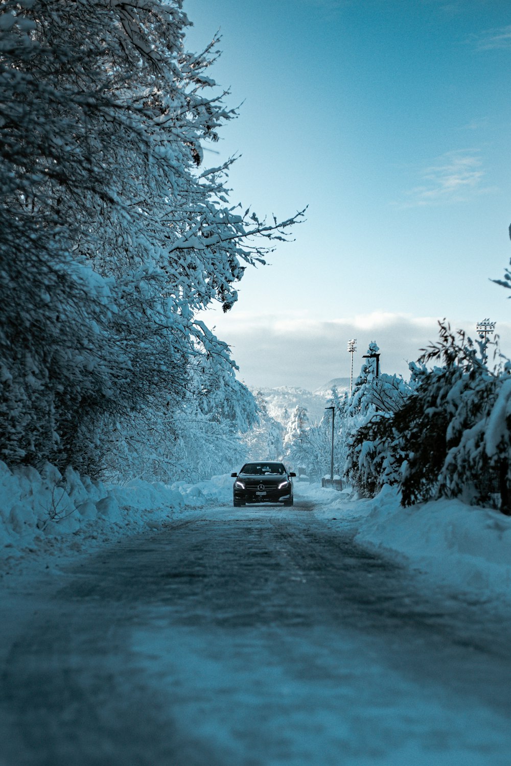 日中の雪に覆われた道路を走る黒いSUV