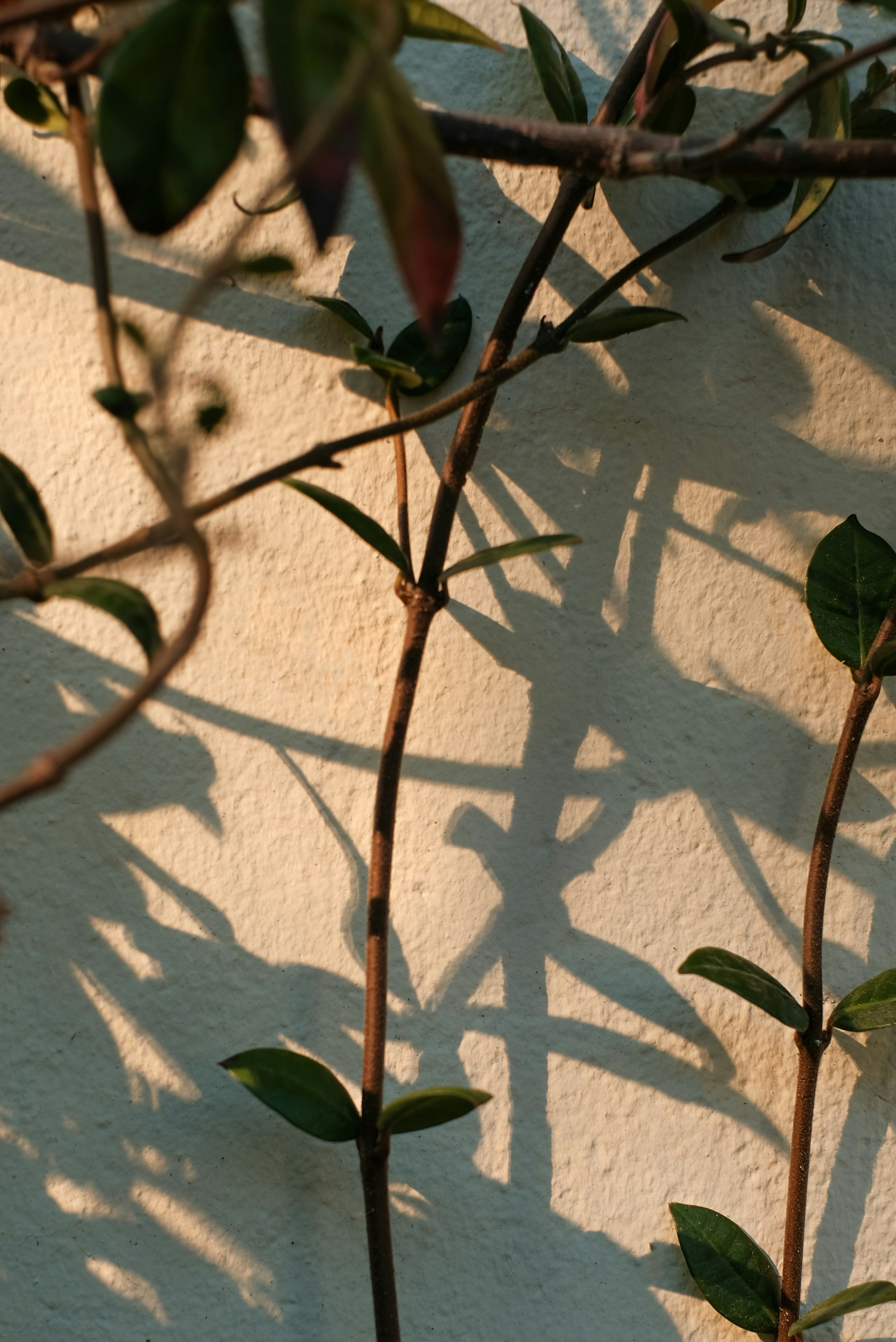 Photo by olgaserjantu