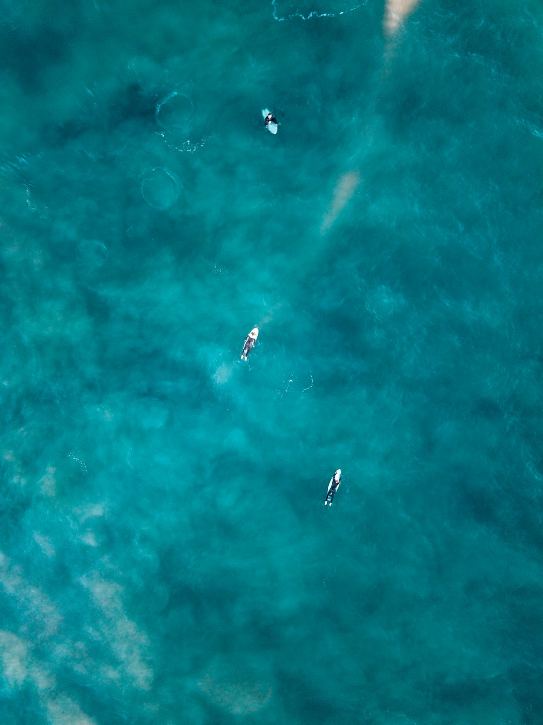 blue and white water splash