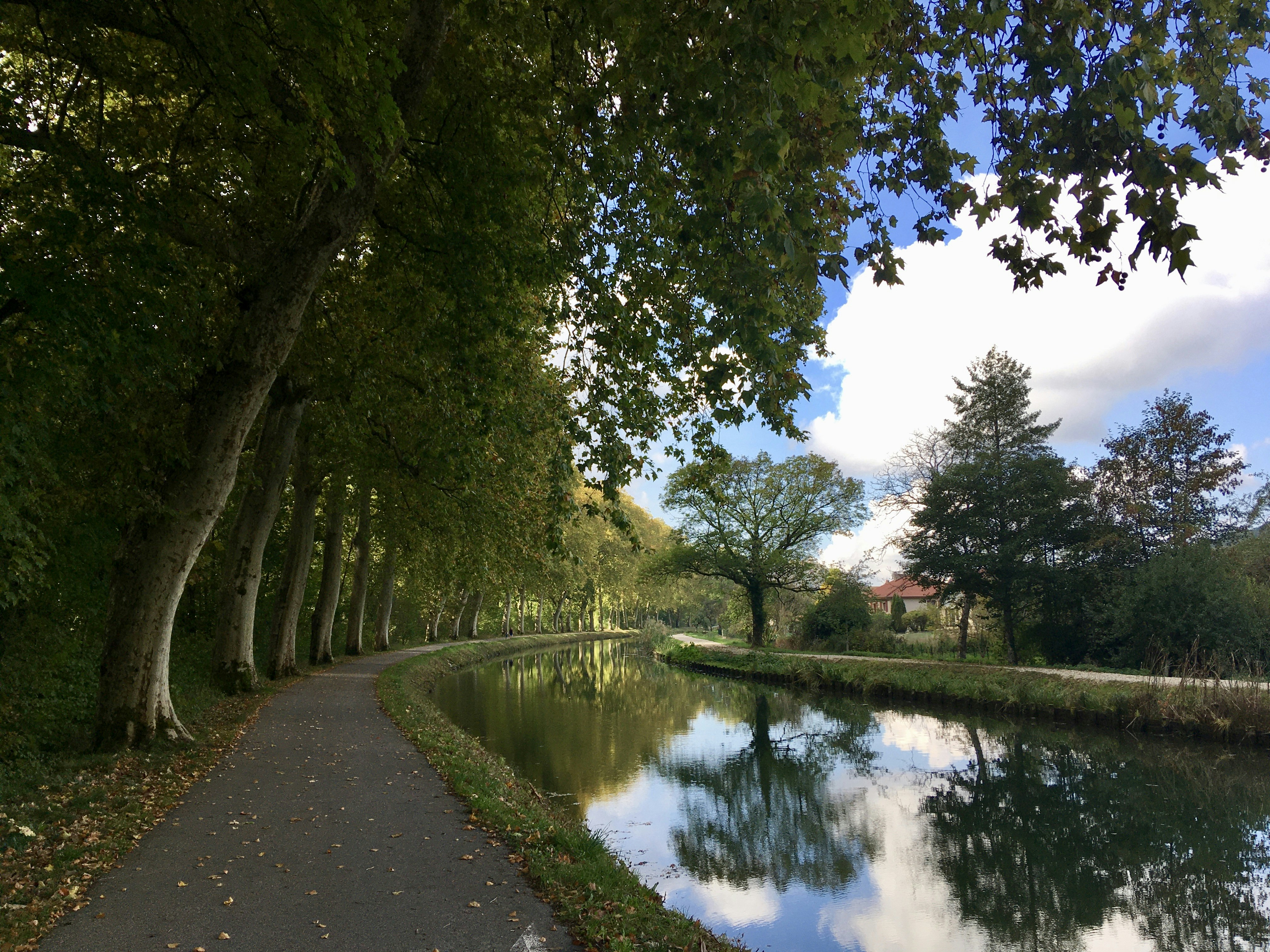 Photo by caraleopold