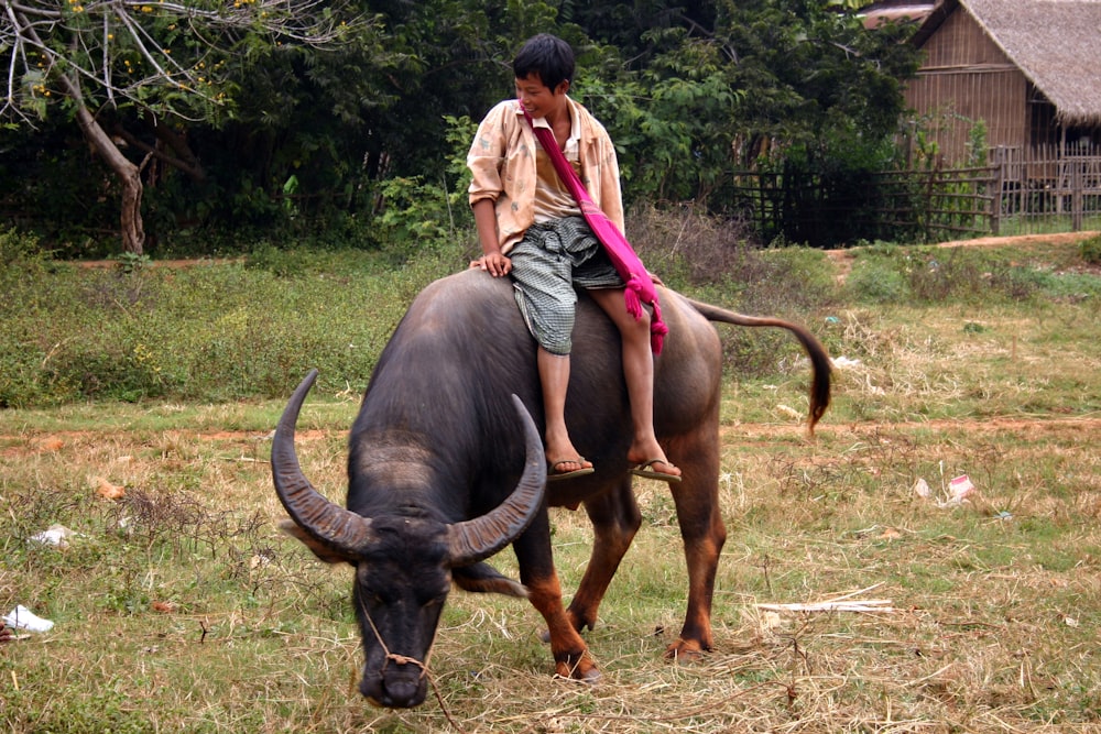 woman in gray tank top and gray shorts standing beside brown water buffalo during daytime