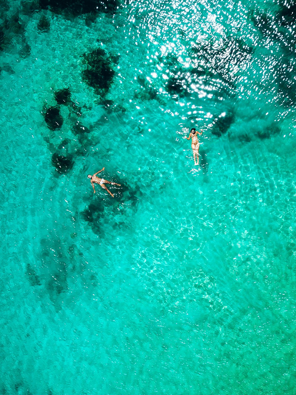 Vista aérea de personas nadando en el mar durante el día