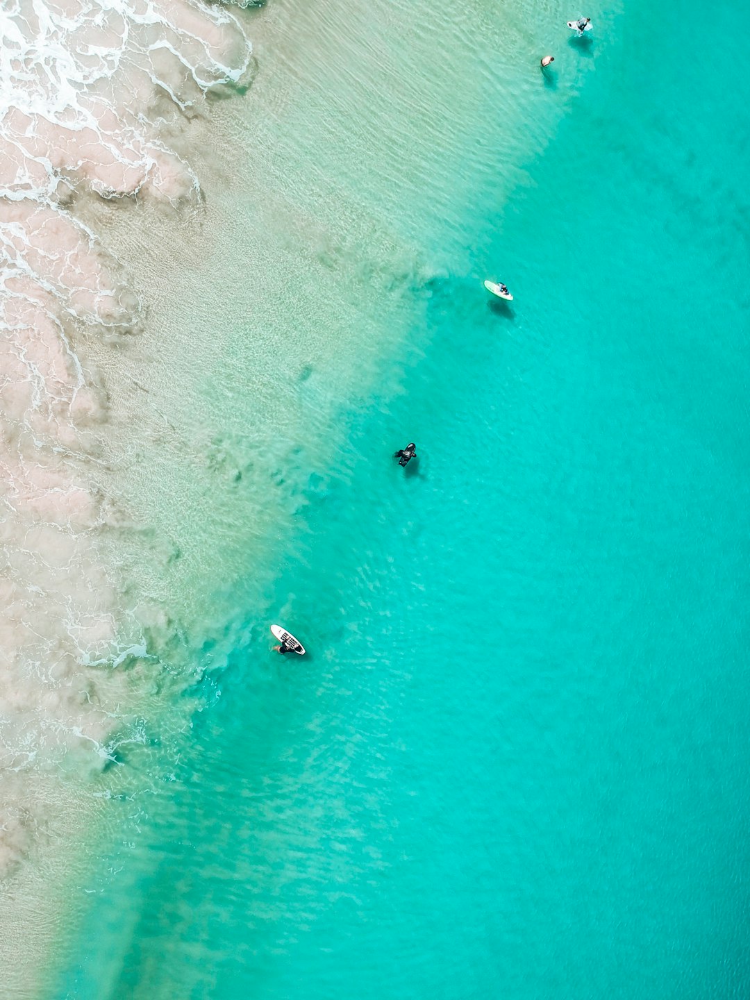 aerial view of people on beach during daytime