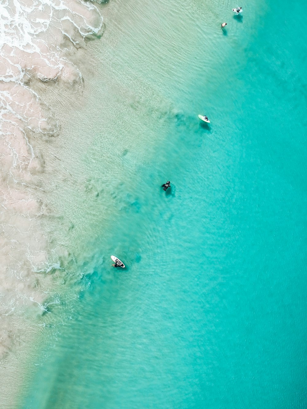 aerial view of people on beach during daytime