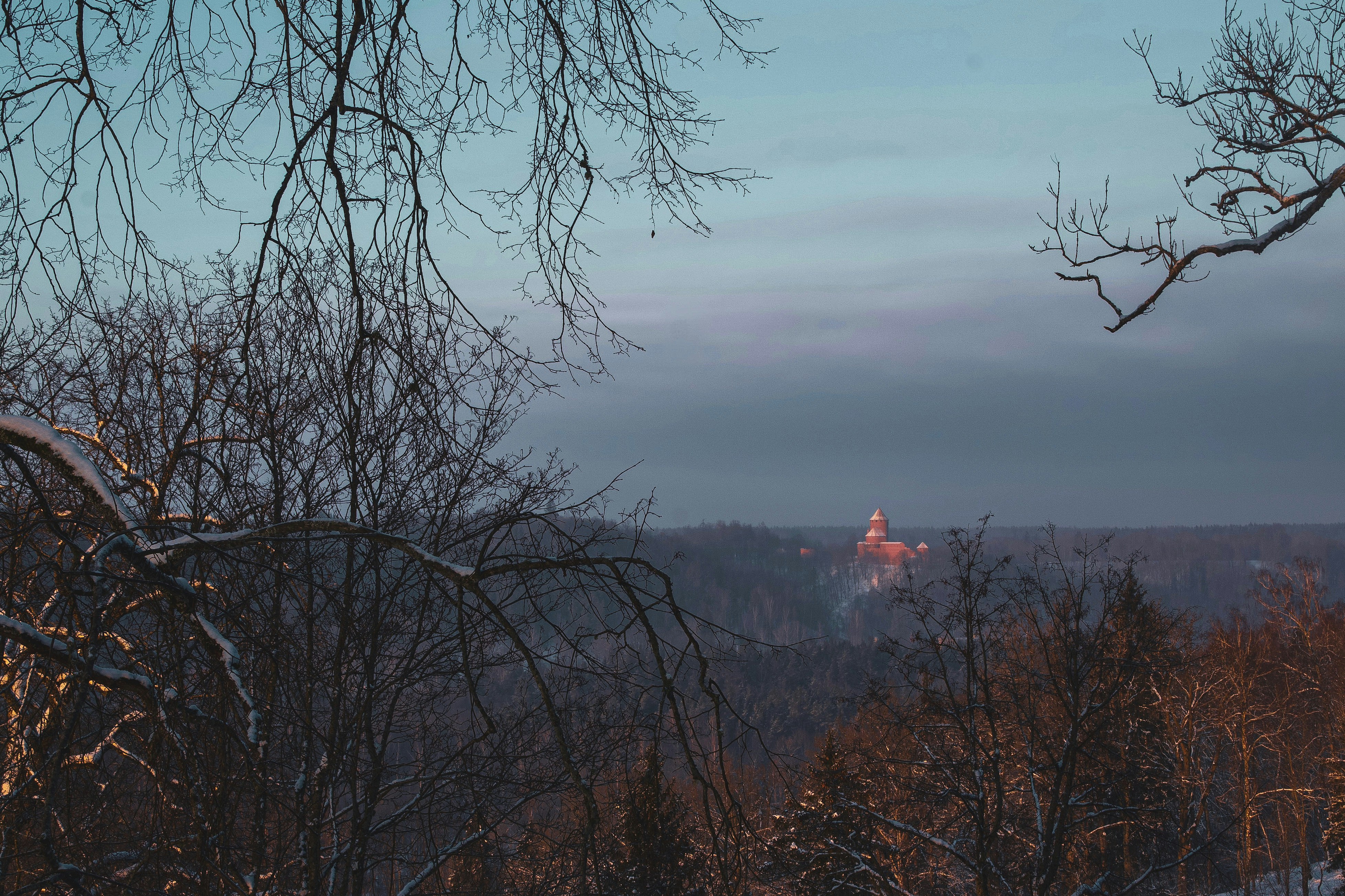 Photo by oliandud