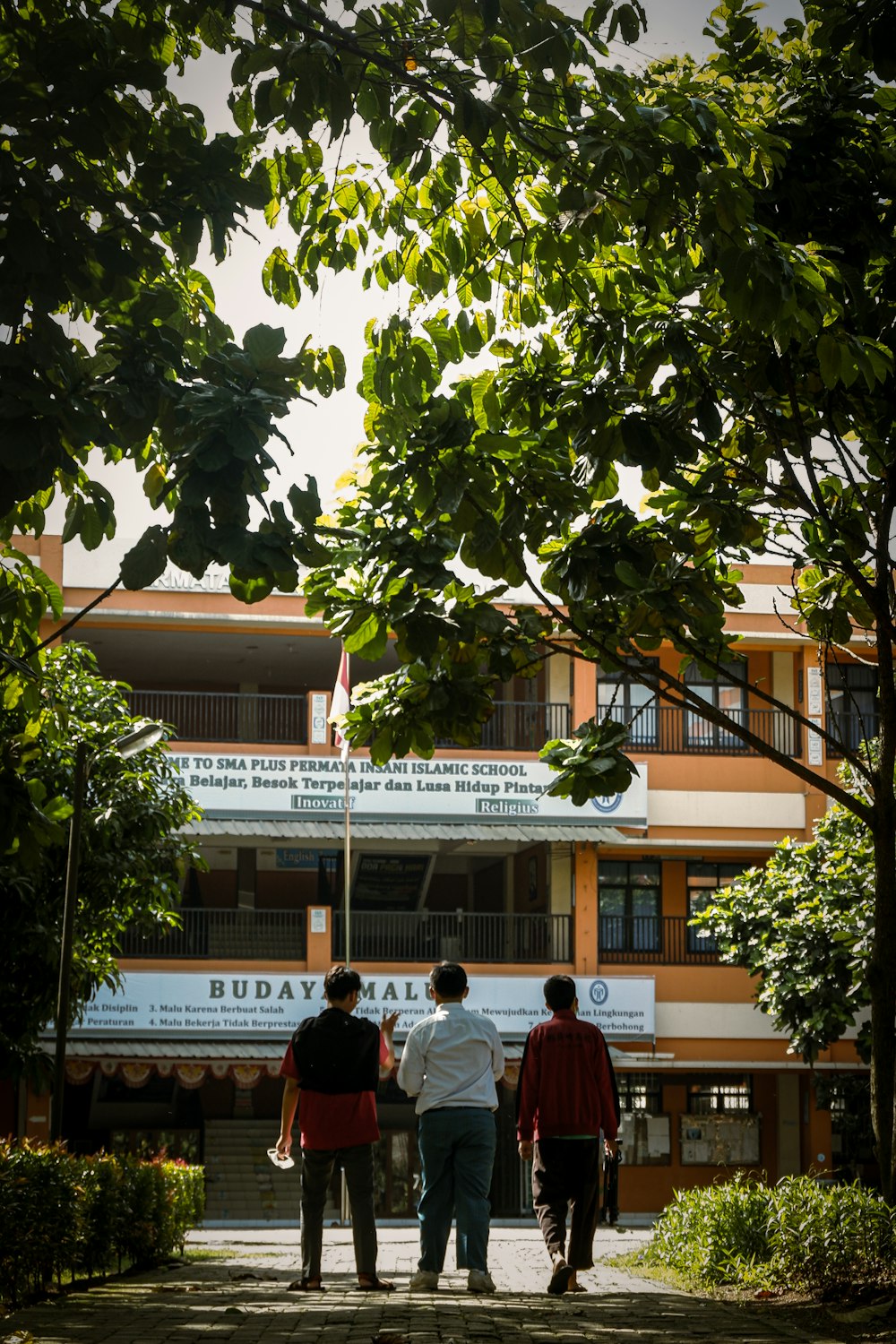 people standing near green tree during daytime