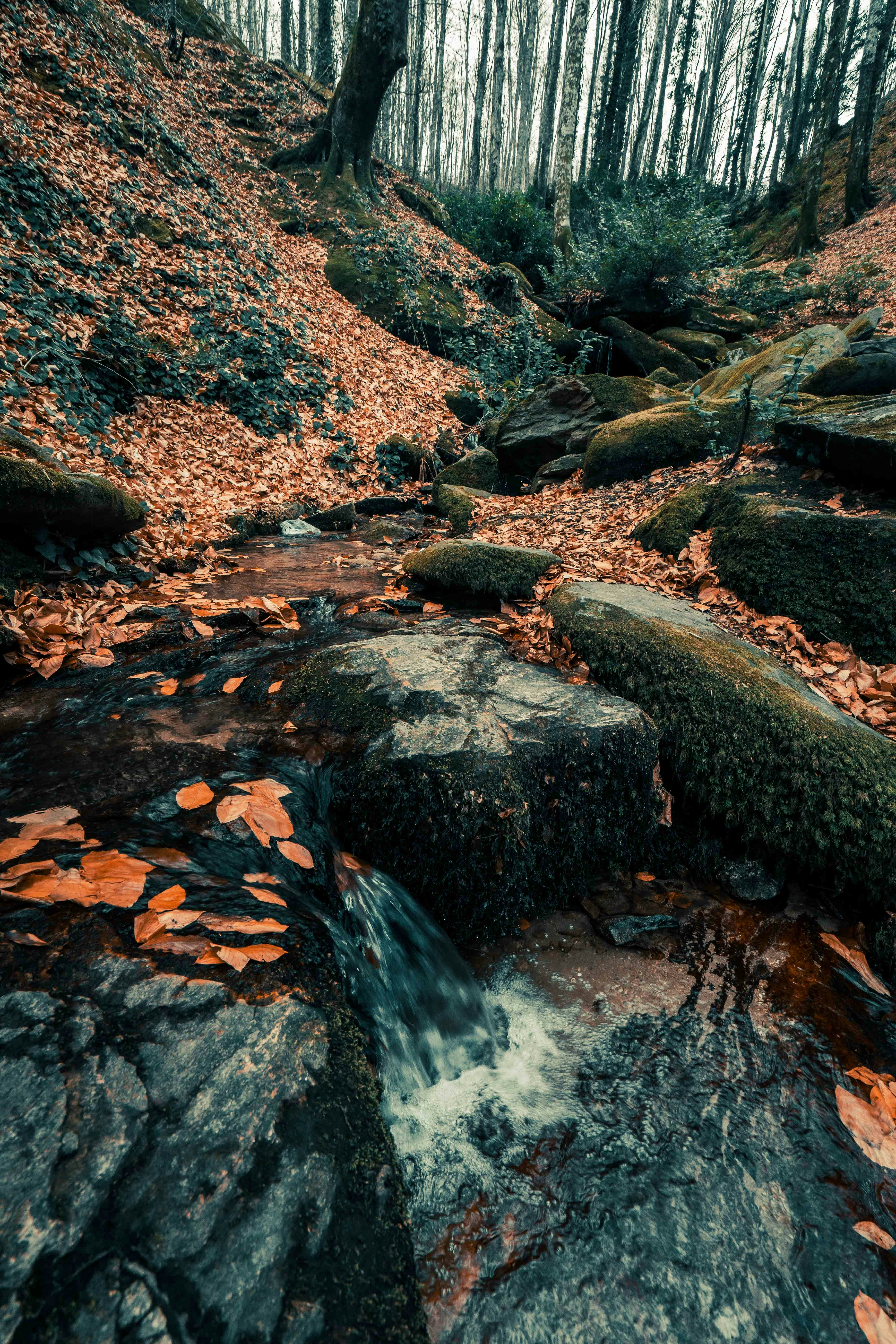 Photo by dogukanbenli