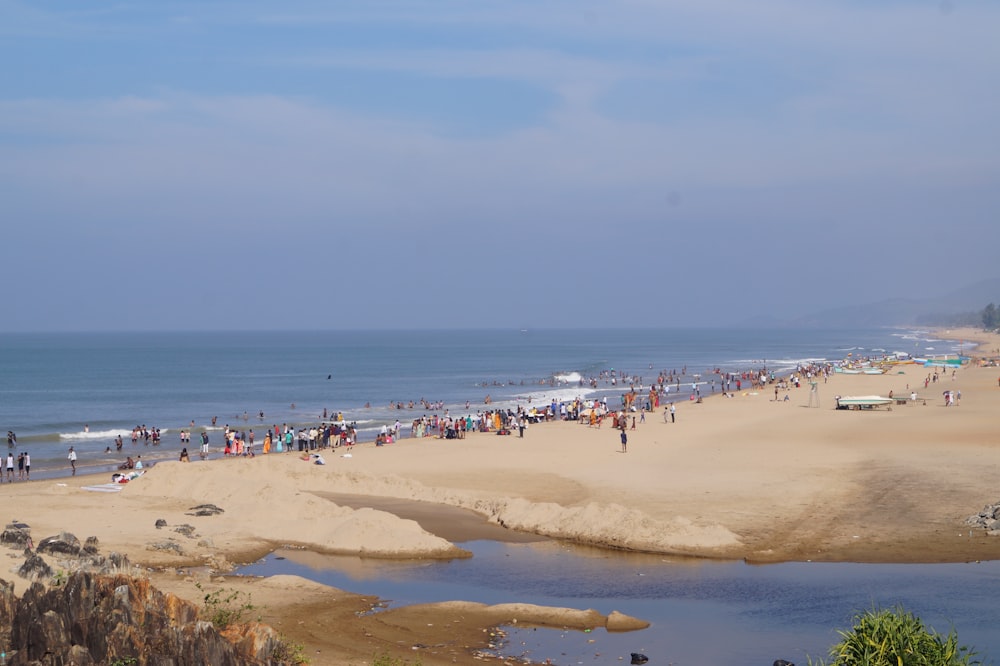 people on beach during daytime