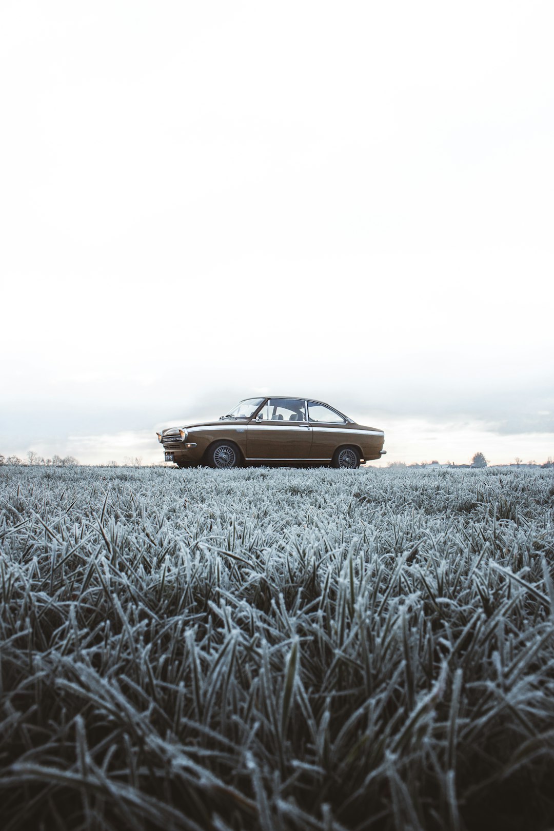 brown car on gray field during daytime