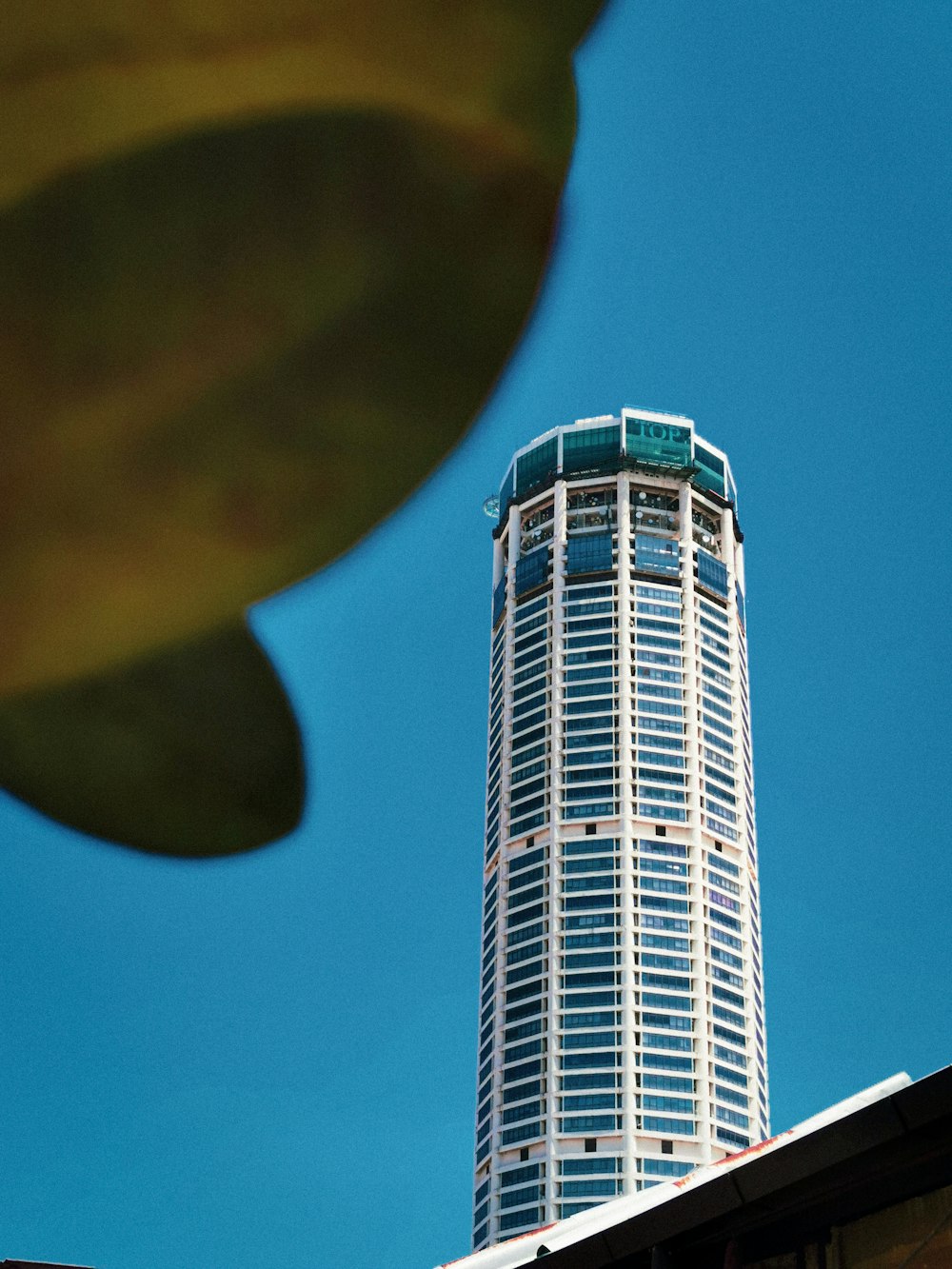 Immeuble de grande hauteur blanc et bleu sous le ciel bleu pendant la journée